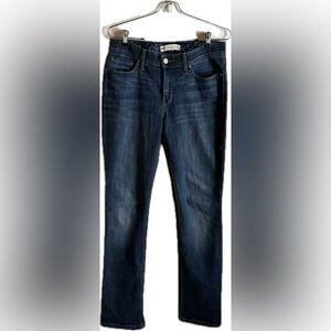 Levi’s 525 Medium Wash Straight Leg Denim Blue Paisley Print Lined Waist Band